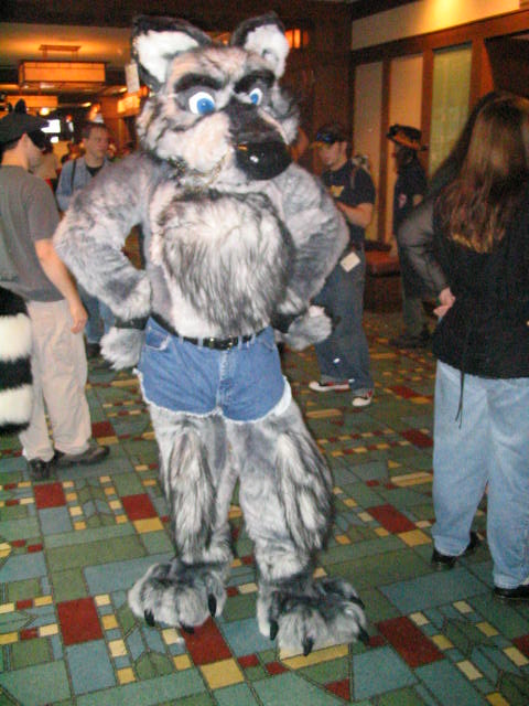 [Kwip_MFF2004_371.jpg]