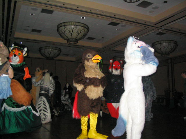 [Kwip_MFF2004_431.jpg]