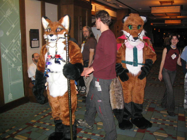 [Kwip_MFF2004_476.jpg]