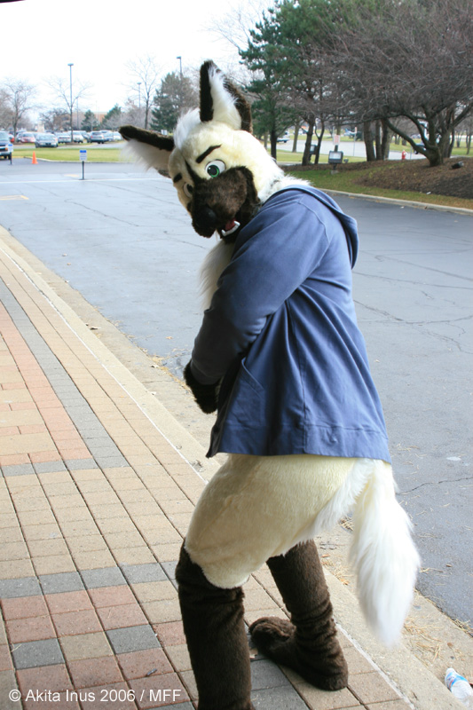 [AkitaInus_MFF2006_024.jpg]