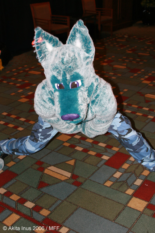 [AkitaInus_MFF2006_035.jpg]