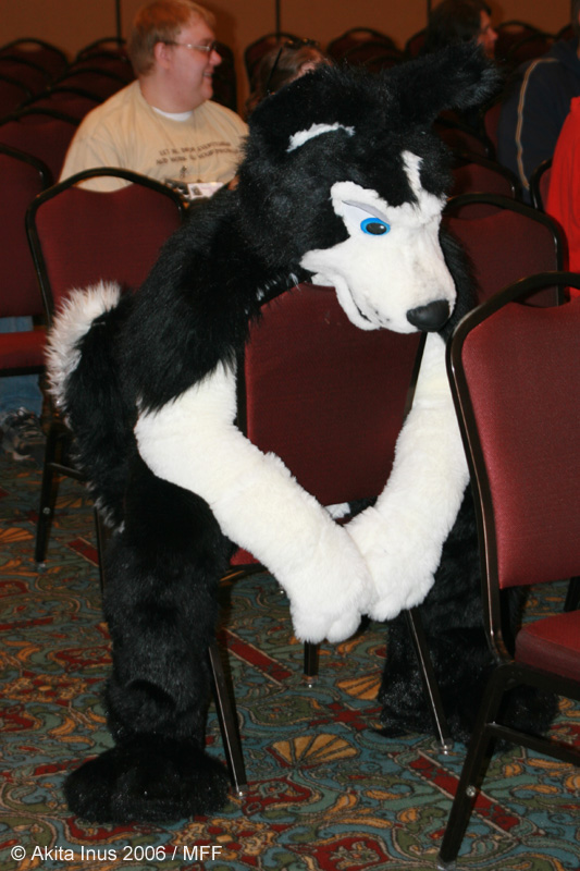 [AkitaInus_MFF2006_047.jpg]