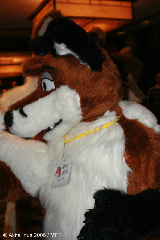 [AkitaInus_MFF2006_136.jpg]