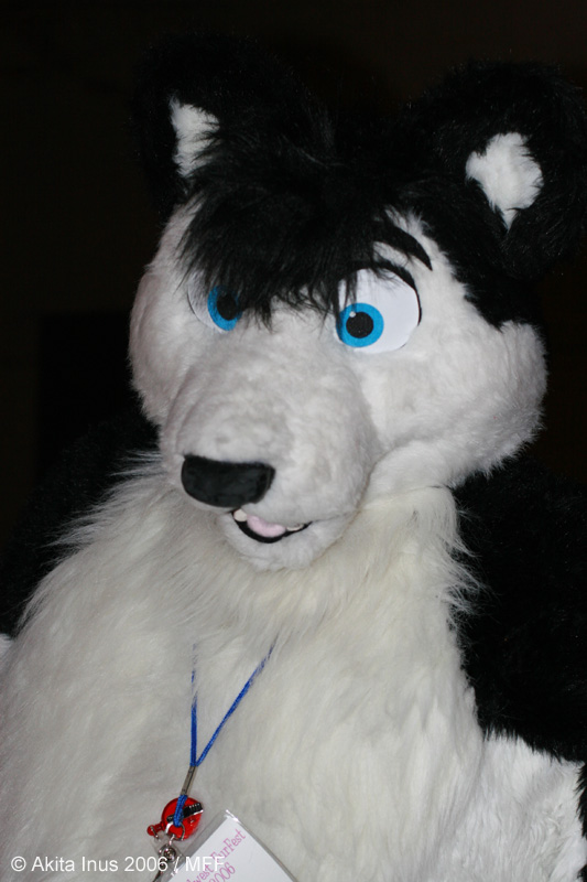 [AkitaInus_MFF2006_213.jpg]