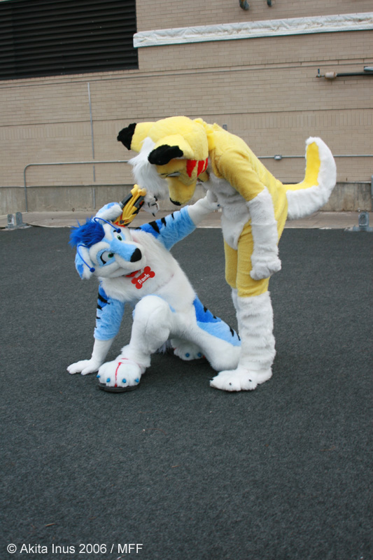 [AkitaInus_MFF2006_277.jpg]