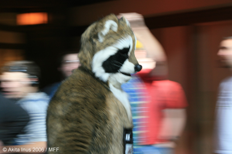 [AkitaInus_MFF2006_413.jpg]