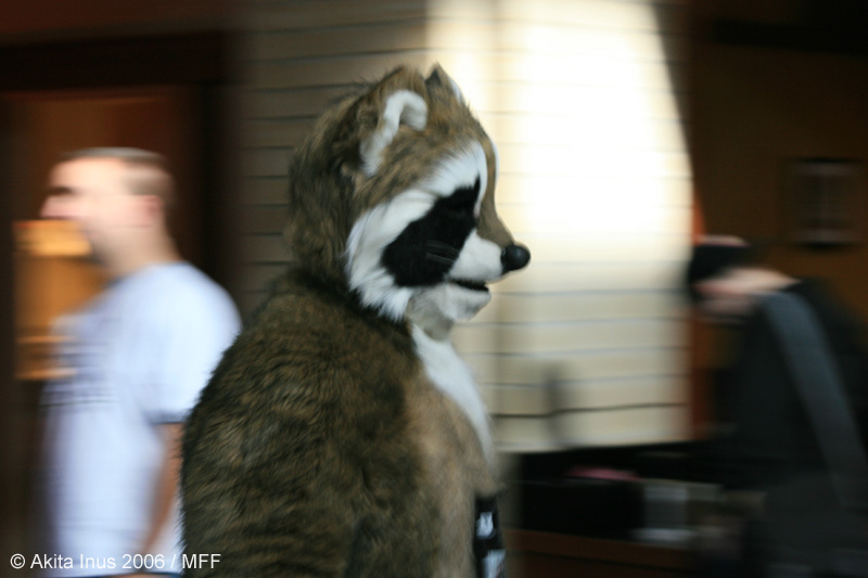 [AkitaInus_MFF2006_414.jpg]