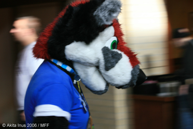 [AkitaInus_MFF2006_416.jpg]