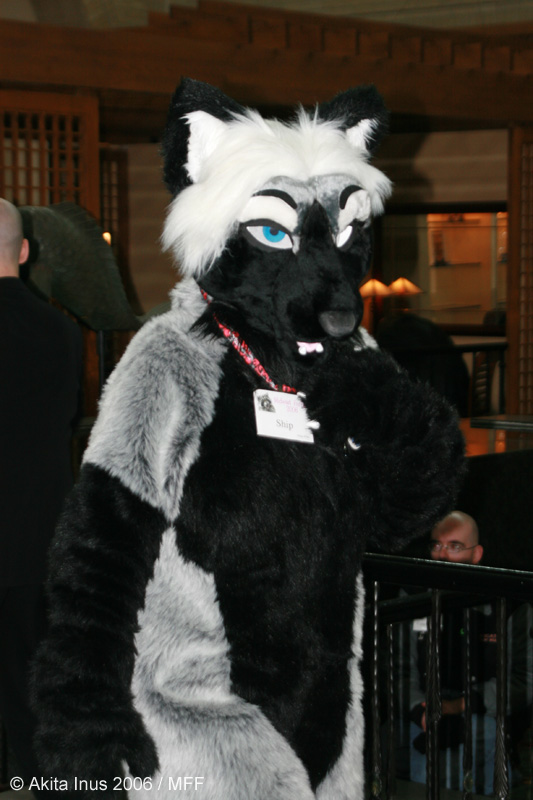 [AkitaInus_MFF2006_418.jpg]