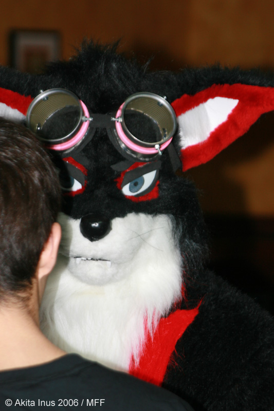 [AkitaInus_MFF2006_426.jpg]