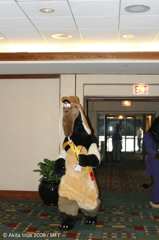 [AkitaInus_MFF2006_436.jpg]