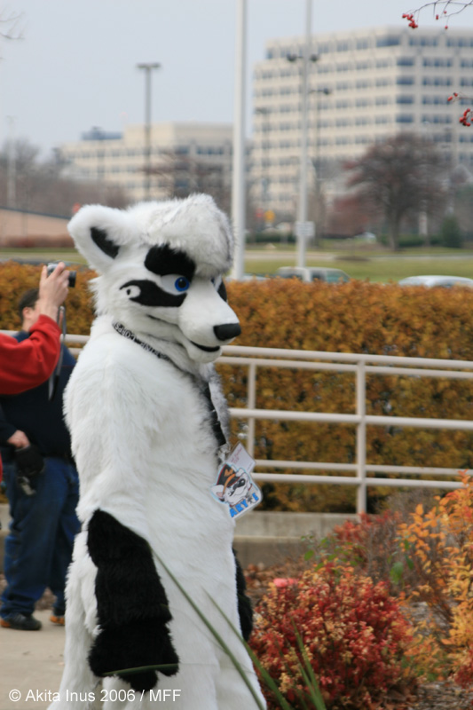 [AkitaInus_MFF2006_536.jpg]