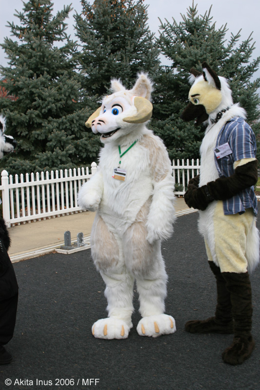 [AkitaInus_MFF2006_546.jpg]