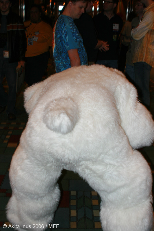 [AkitaInus_MFF2006_607.jpg]