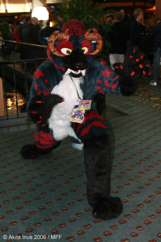 [AkitaInus_MFF2006_619.jpg]