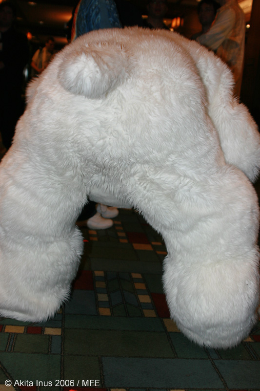 [AkitaInus_MFF2006_626.jpg]