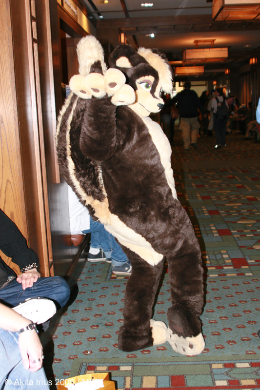 [AkitaInus_MFF2006_659.jpg]