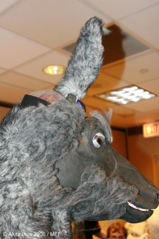 [AkitaInus_MFF2006_671.jpg]