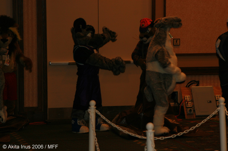 [AkitaInus_MFF2006_711.jpg]