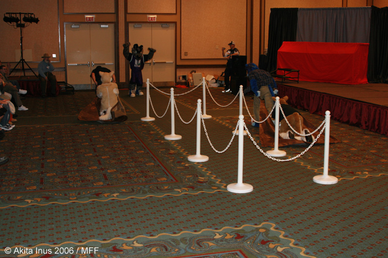 [AkitaInus_MFF2006_713.jpg]