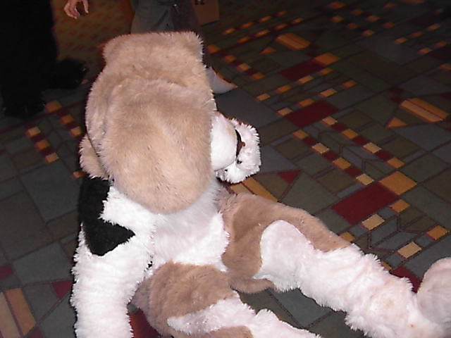 [Sodders_MFF2006_015.jpg]