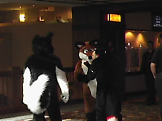 [Sodders_MFF2006_036.jpg]