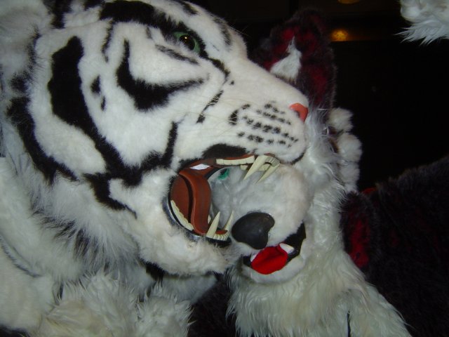 [Taren_MFF2006_023.jpg]