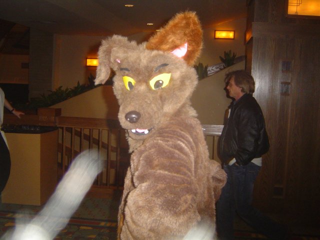 [Taren_MFF2006_029.jpg]