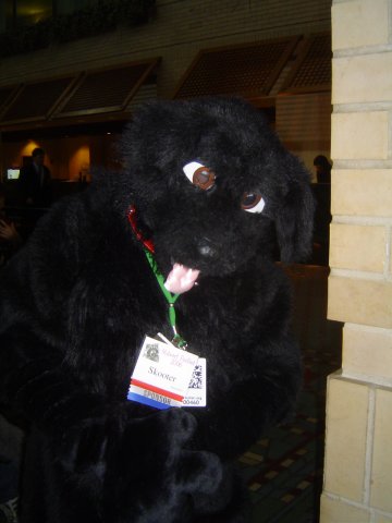 [Taren_MFF2006_044.jpg]