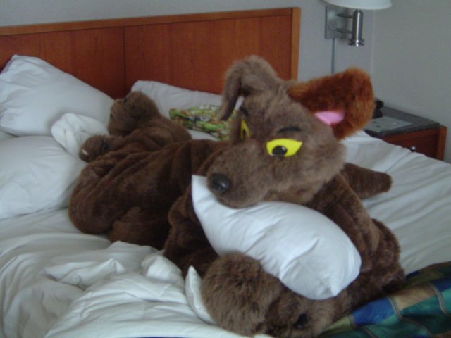 [Taren_MFF2006_084.jpg]