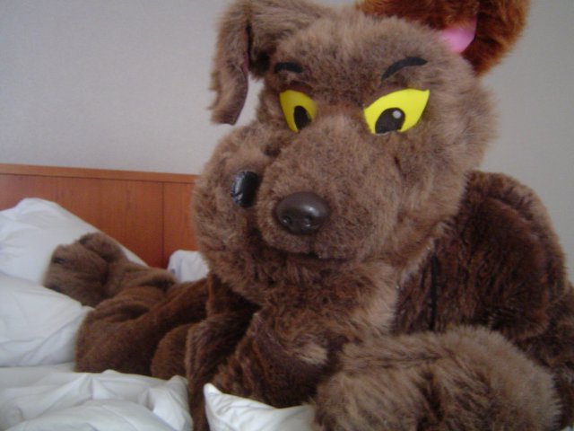 [Taren_MFF2006_086.jpg]