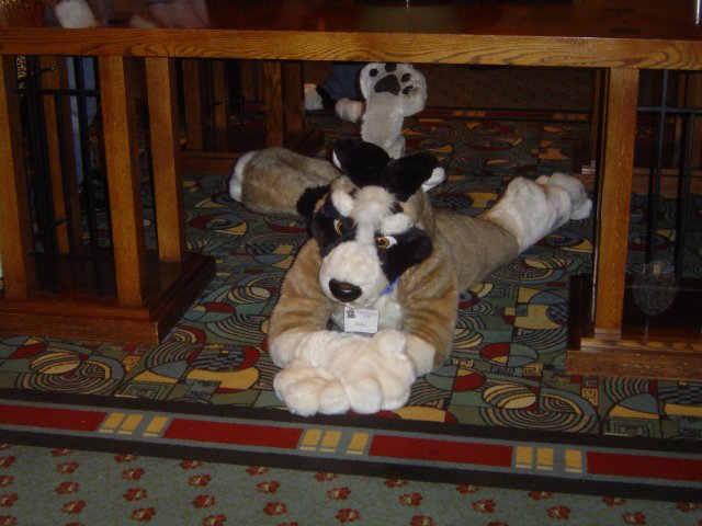 [Taren_MFF2006_122.jpg]