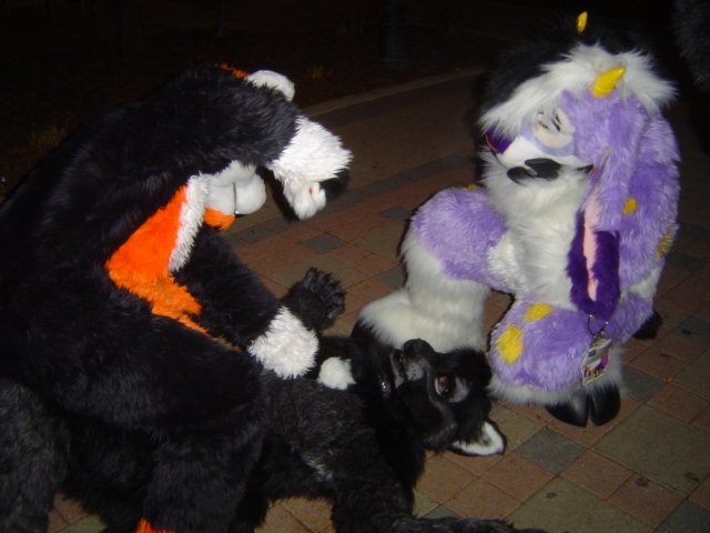 [Taren_MFF2006_206.jpg]