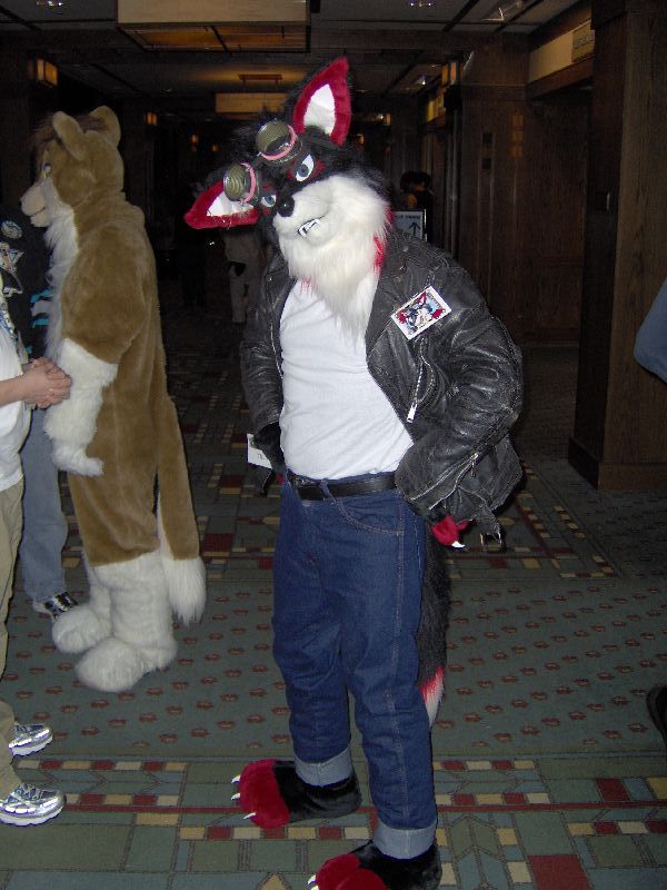 [Wildfox_MFF2006_034.jpg]