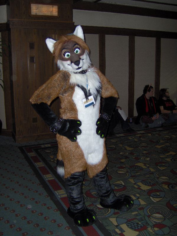 [Wildfox_MFF2006_047.jpg]