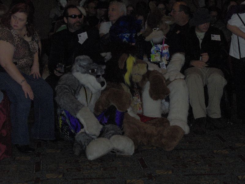 [Wildfox_MFF2006_050.jpg]