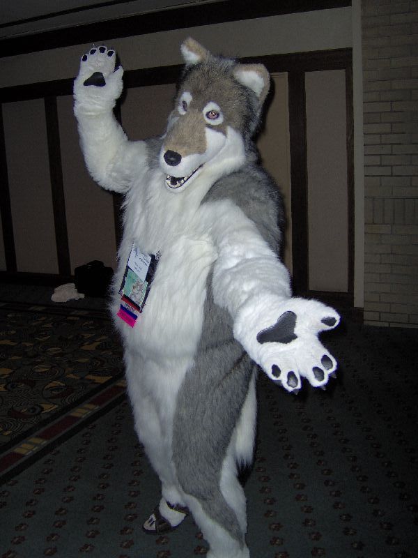 [Wildfox_MFF2006_059.jpg]