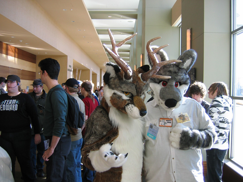 [SwiftFox_MFF2008_017.jpg]