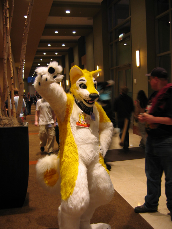 [SwiftFox_MFF2008_043.jpg]