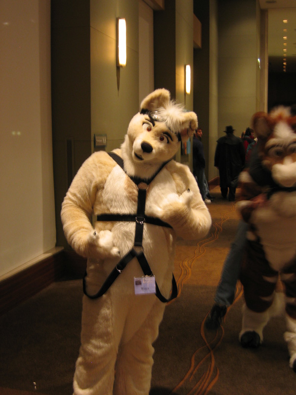 [SwiftFox_MFF2008_053.jpg]