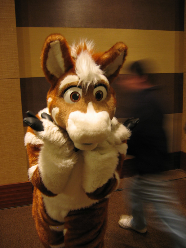 [SwiftFox_MFF2008_060.jpg]