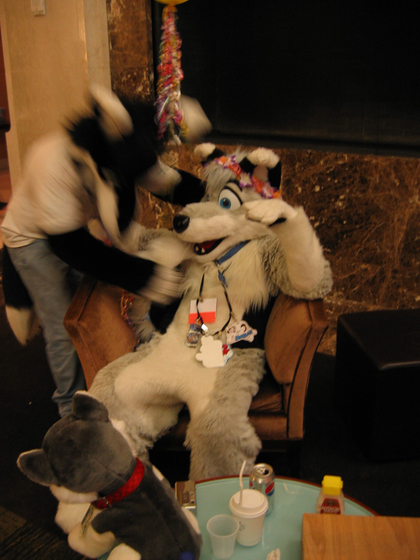 [SwiftFox_MFF2008_067.jpg]