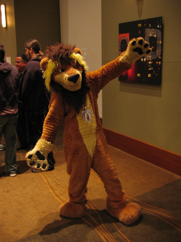 [SwiftFox_MFF2008_081.jpg]