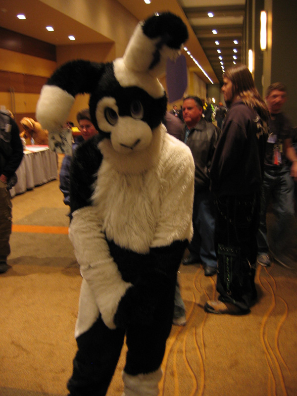 [SwiftFox_MFF2008_083.jpg]