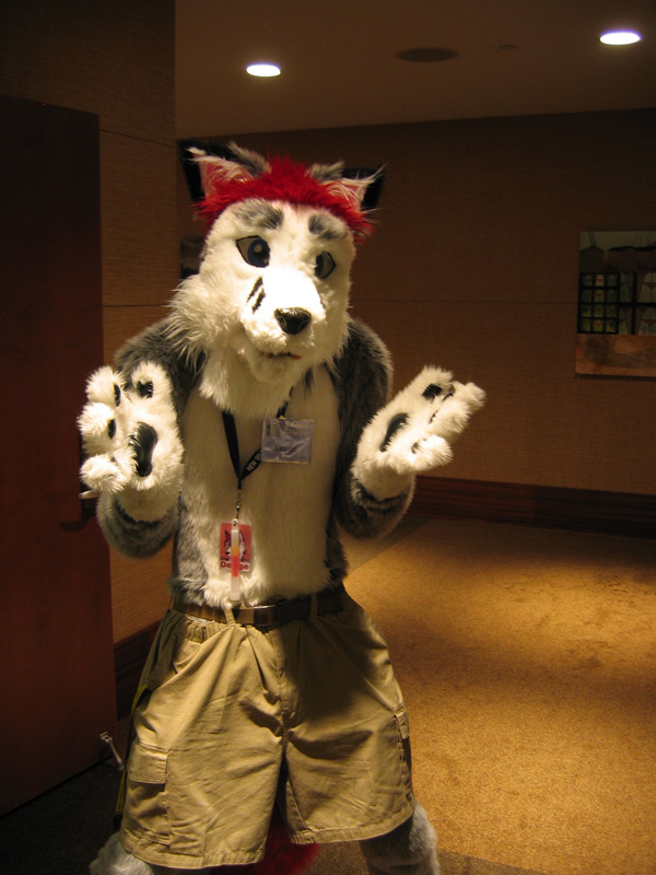 [SwiftFox_MFF2008_088.jpg]