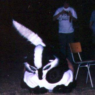 [skunki_fair_2.jpg]