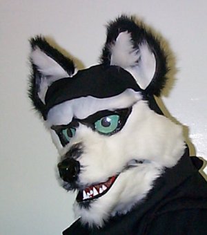 [Fursuit_another.jpg]