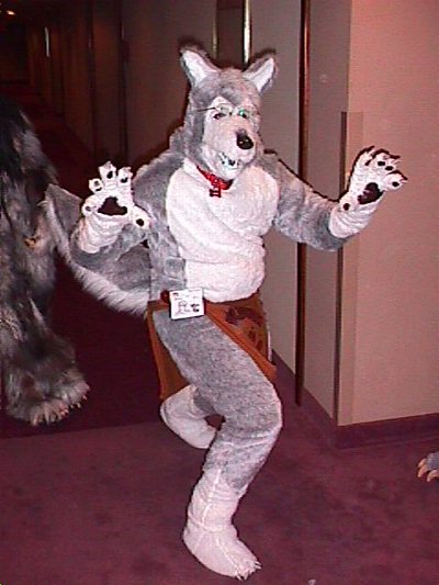 [Fursuit_cf9_11.jpg]