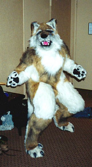 [Fursuit_tan3.JPG]