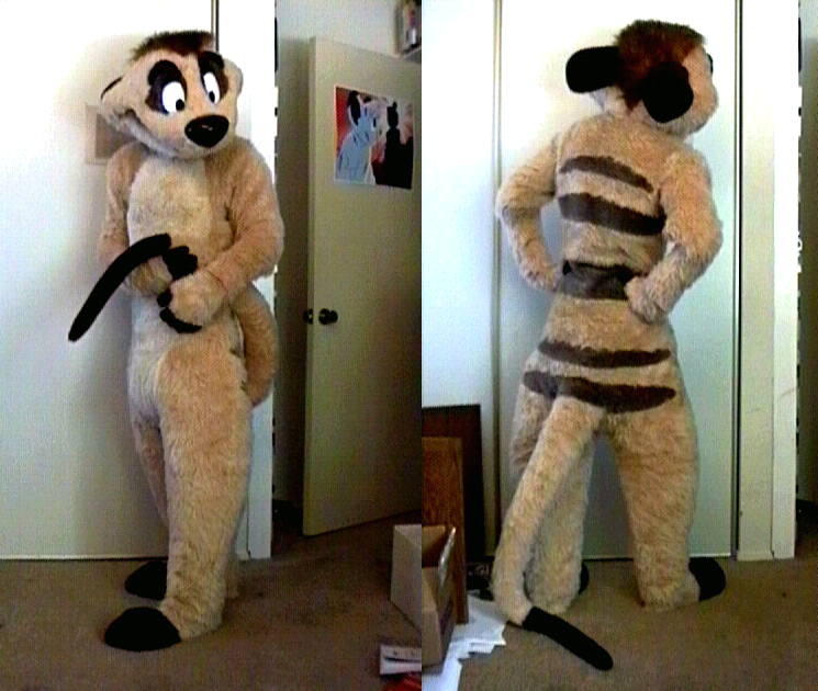 [Fursuit_timon-c.jpg]